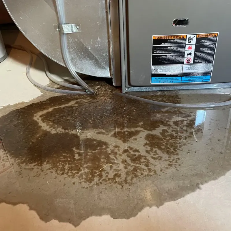 Pipe Burst and Leak Restoration in Charlestown, NH